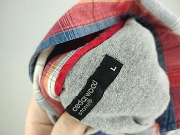 basic tees h: Cedar Wood State, Koszulа dla mężczyzn, rozmiar L — 4