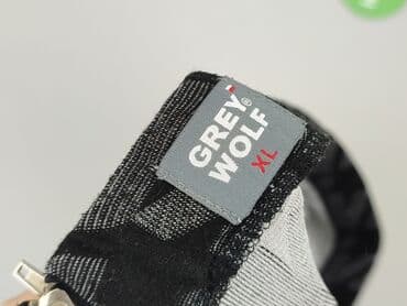 rajstopy i spódniczki: GREY WOLF, Spódnica damska, XL — 4