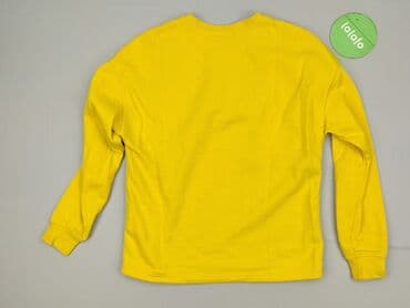 reserved koszulka z jamnikiem: Amisu, Bluza damska
, XS — 3