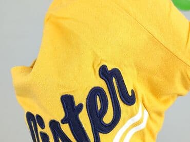 t shirty hollister: Hollister, T-shirt damski, rozmiar XS — 8