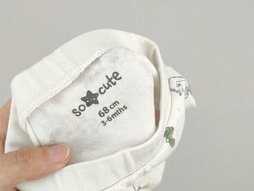 spodnie w panterkę h: Leggings, So cute, 3-6 months, condition - Perfect — 4
