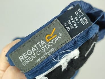 lidl spodnie trekkingowe: Regatta, Shorts for men, size L — 4