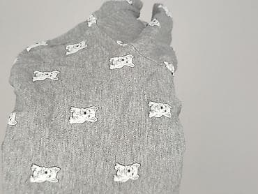 cotton traders bluza: Cotton Traders, Damska koszulka polo, rozmiar M — 6