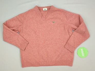 materiał do stroju kąpielowego: Lacoste, Sweter dla mężczyzn, rozmiar XL — 2