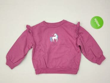 lidl podkoszulki dziewczęce: Sweatshirt, Little kids, 4-5 years, 104-110 cm, condition - Very good — 2