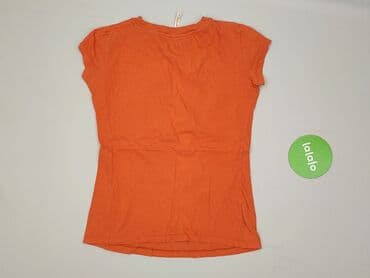 into the wild t shirty: Terranova, T-shirt damski, rozmiar S — 4