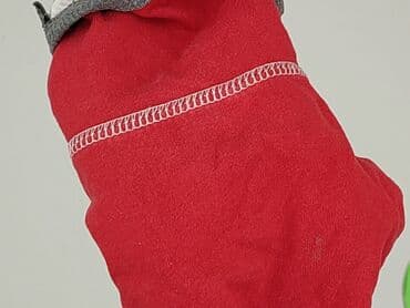 dkny dla niemowląt: Sweatshirt, 9-12 months, condition - Very good — 5