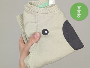 h: Sweatshirt, Ergee, 9-12 months, condition - Very good — 5