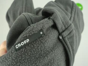 stradivarius bluzy z kapturem: Cropp, Bluza z kapturem dla mężczyzn, rozmiar M — 5