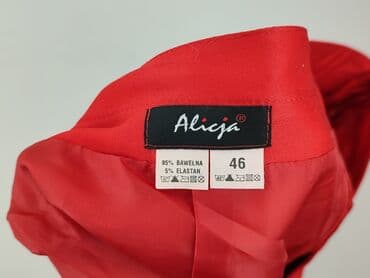 spodenko spódniczka plus size: Spódnica damska, rozmiar 3XL — 4