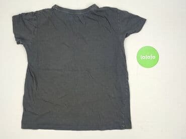 t shirty pit bull allegro: Cropp, Women`s T-shirt, size S (EU 36) — 3