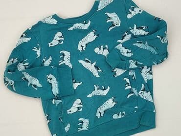 kurtka flek: Sweatshirt, Little kids, 8 years, 122-128 cm, condition - Very good — 1
