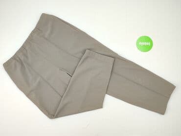 zara woskowane spodnie: Stedman, Material trousers for women, size S (EU 36) — 2