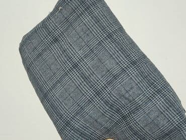 plisowane spódnice szara: Papaya, Spódnica damska, rozmiar XL — 5