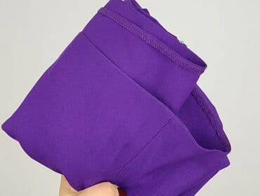 fioletowa spódnice ołówkowe: Aga, Women`s skirt, size XL — 6