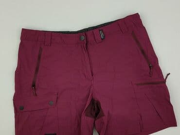 lidl spodnie trekkingowe: Forclaz, Shorts for men, size XL — 1