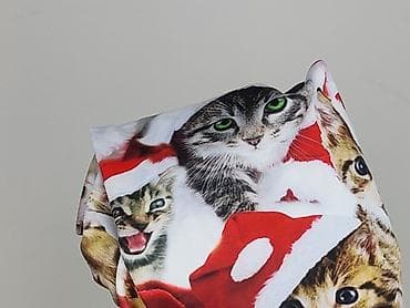 bluza welurowa pepco: Bluza z kapturem dla mężczyzn, rozmiar XL — 5