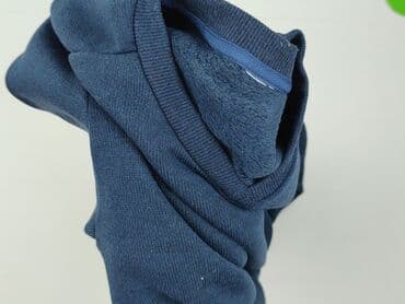 sweter z pingwinem: Decathlon, Sweter dla mężczyzn, S — 5