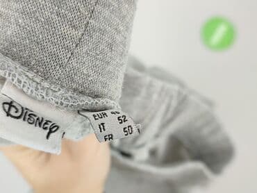 spodni: Disney, Spodnie dresowe damskie, rozmiar 4XL — 4