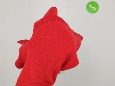 vinted the north face kurtka: Women`s fleece, size M — 4