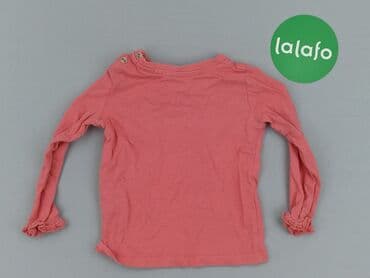 paprocki brzozowski tshirt: Blouse, Lupilu, 9-12 months, condition - Very good — 3