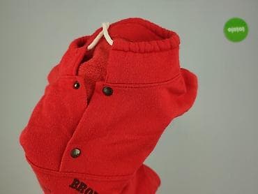 bluzy kibicowskie: NFL, Bluza dla mężczyzn, rozmiar 3XL — 4