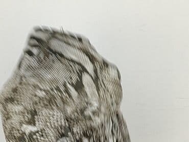 kozaki z futerkiem deichmann: Orsay, Bluzka damska, S — 9