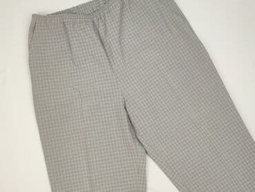 zara woskowane spodnie: Material trousers for women, size S (EU 36) — 1