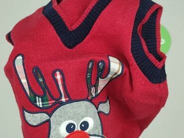 lidl sukienki letnie: Sweater, Cool Club, 9-12 months, condition - Perfect — 6