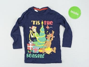 allegro sweterki azurowe: Sweatshirt, Pepco, 2-3 years, 92-98 cm, condition - Very good — 2