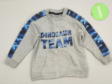 koszulka z napisem dzik: Sweatshirt, Pepco, 4-5 years, 104-110 cm, condition - Perfect — 2