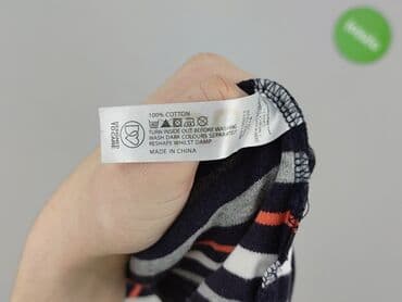 t shirt massey ferguson: Maine, T-shirt damski, rozmiar XL — 5