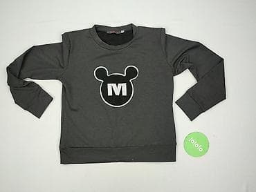wansili sweter: Bluza damska
, rozmiar M — 2