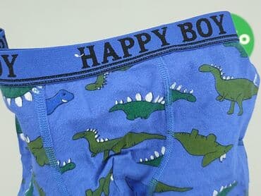 sukienka dla 6 latki: Panties, 2-3 years, condition - Very good — 4