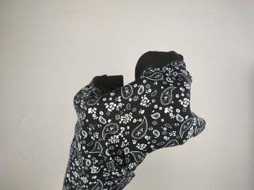 spodnie dresowe zina: Legginsy Sportowe damskie, rozmiar 5XL — 5