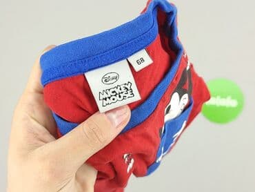 4f koszulka lewandowski: T-shirt, Disney, 3-6 months, condition - Perfect — 4