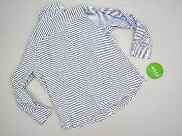 lisa mayo koszule: Koszula damska, rozmiar 2XL — 3