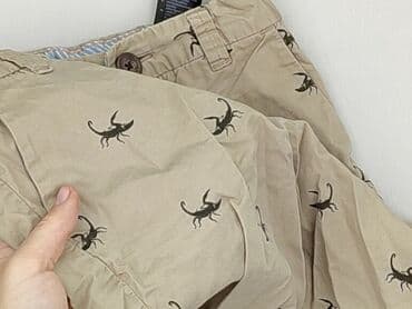 spodnie woskowane matowe: Shorts, H&M, 4-5 years, 110, condition - Perfect — 6