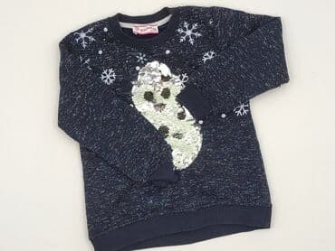 wojcik rajstopy: Sweatshirt, 2-3 years, 92-98 cm, condition - Very good — 1