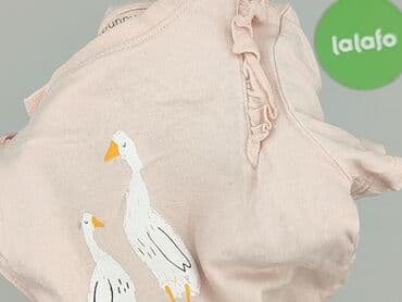 koszulka paprocki brzozowski: T-shirt, Fox&Bunny, 1-3 months, condition - Very good — 5