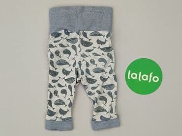 trampki vans authentic: Sweatpants, Cool Club, 1-3 months, condition - Very good — 3