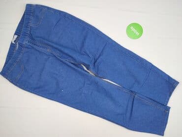 sprzedaż używanych majtek damskich: Janina, Jeansy damskie, 2XL — 2