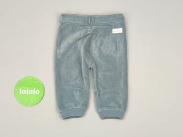 skarpety z twoim psem: Sweatpants, Sinsay, 3-6 months, condition - Perfect — 2