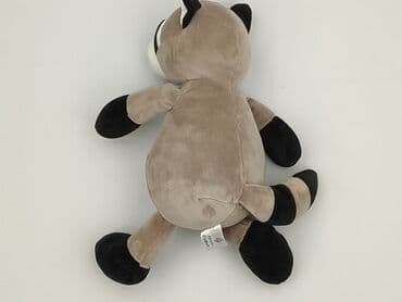 koszulka wilk i zając: Mascot condition - Very good — 2
