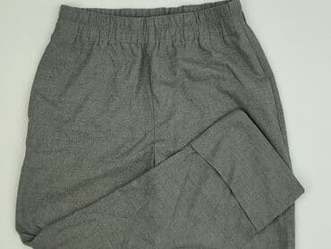 Zara, Брюки жіночі, розмір S