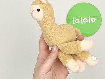 skarpety cat lidl: Maskotka — 4