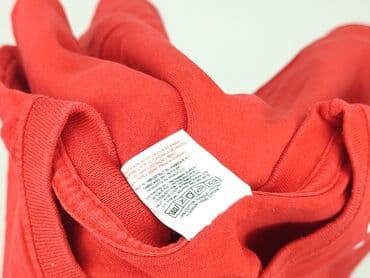 red bull f1 t shirt: Fruit Of The Loom, Koszulka dla mężczyzn, rozmiar M — 7