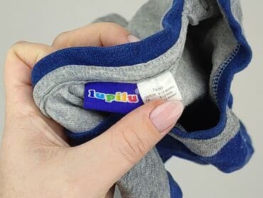 kombinezon zimowy endo: Sweatshirt, Lupilu, 9-12 months, condition - Very good — 5