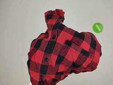 c a sweter: FB Sister, Koszula damska, rozmiar XS — 5