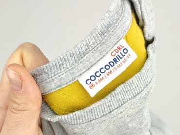 koszulka z napisem dzik: Bluza, Coccodrillo, 3-6 miesięcy, stan - Bardzo dobry — 4